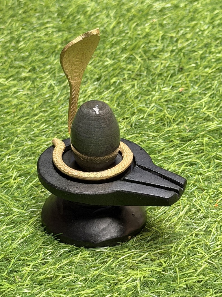 Neelkanth Narmadeshwar Shivling For Home | Top Shivling for health and healing.