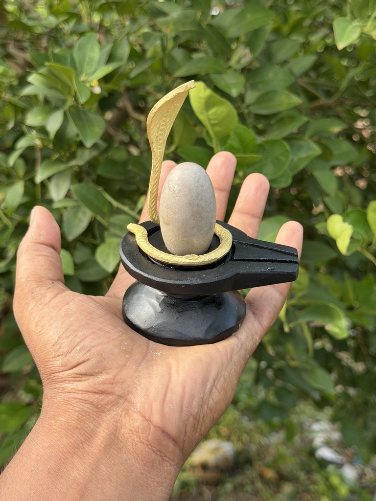 Amarnath Narmadeshwar Shivling | Best Shivling for financial prosperity.
