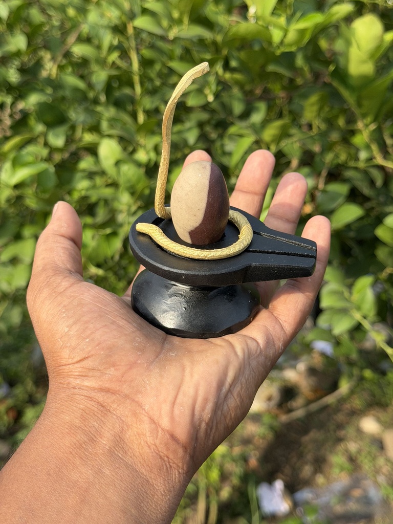Best Ardhnareshwar Narmadeshwar  shivling for home | This is the best Shivling for married life.