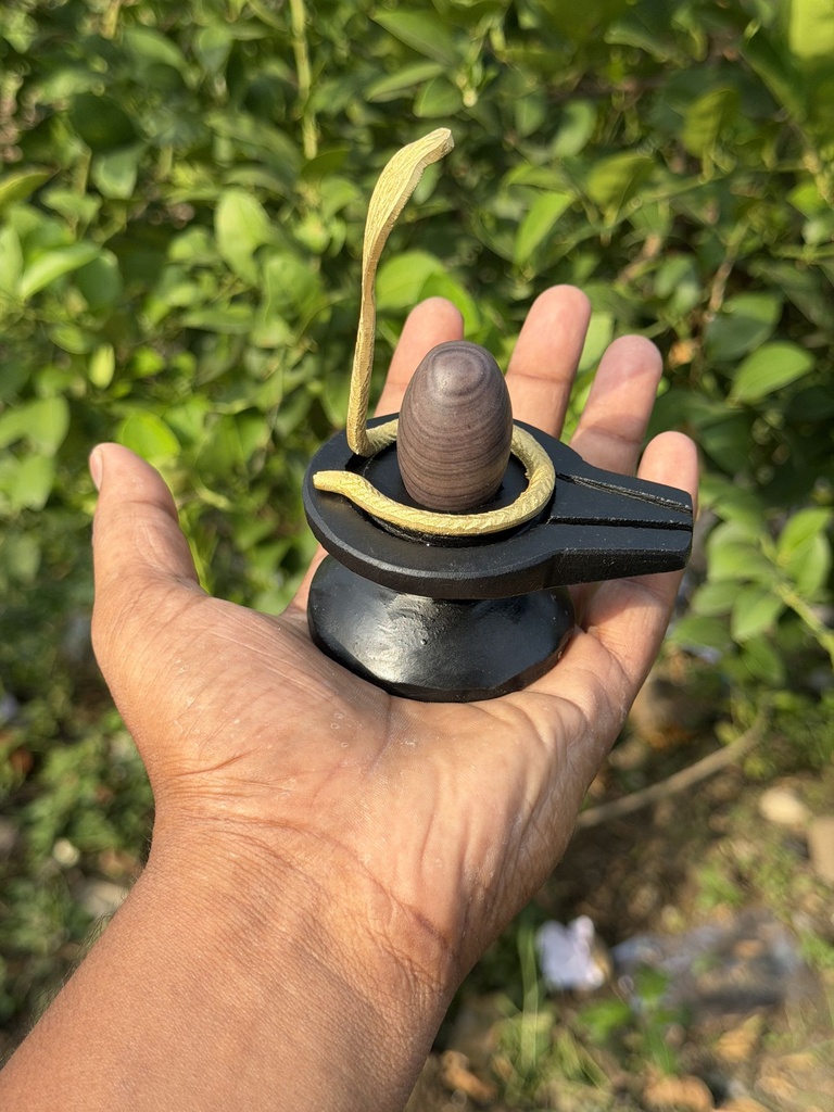 Janeudhari narmadeshwar shivling for home | This is the best Shivling for protection against black magic rituals and the evil eye.
