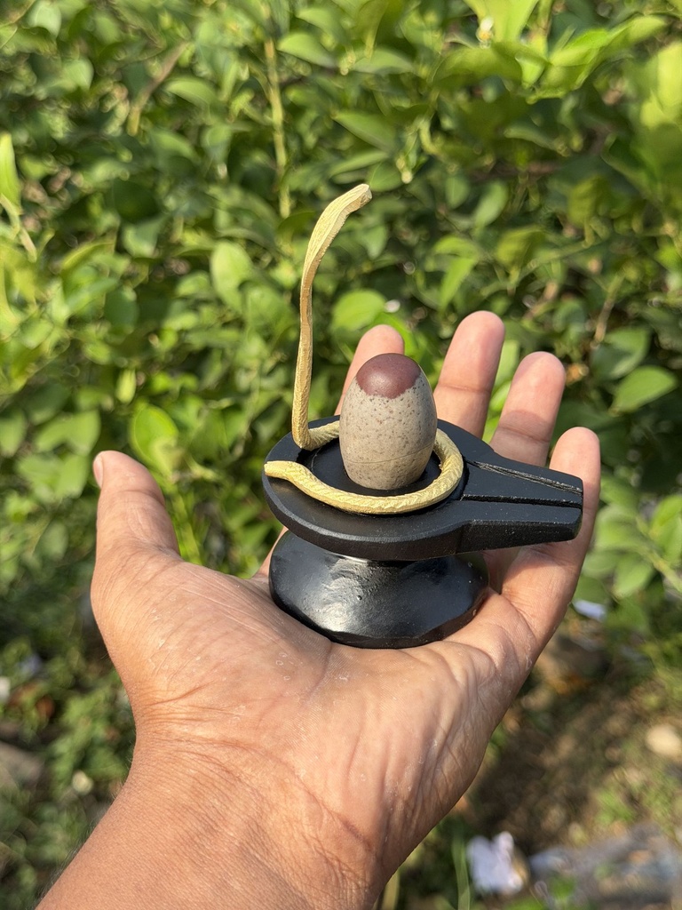 Chandramadhari Narmadeshwar shivling | This Shivling is ideal for resolving household quarrels.