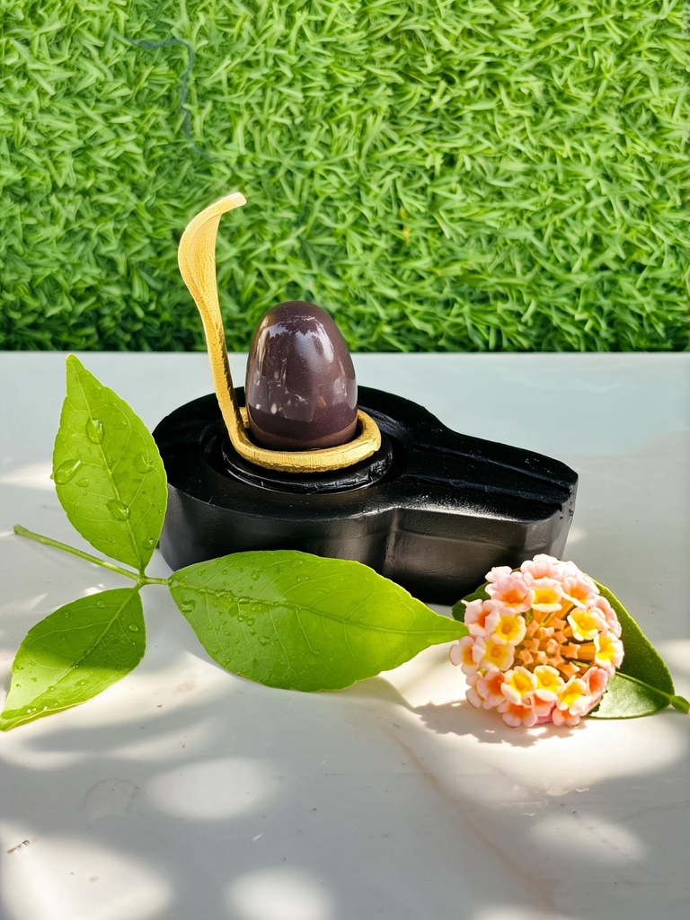 Small Size Swayambhu narmadeshwar shivling with flat jaladhari  || smallest size shivling for home | 1.5 inch narmadeshware shivling
