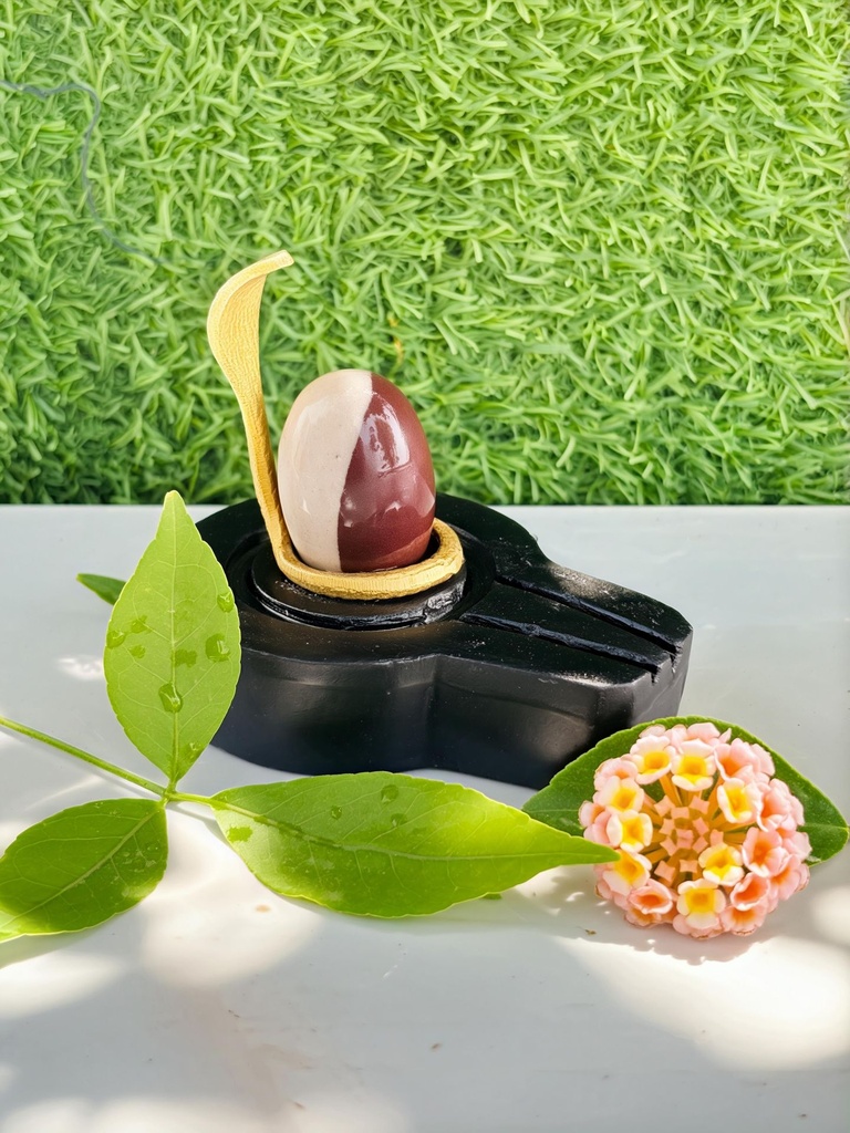 Best Small Ardhnareshwar Narmadeshwar shivling for home with flat jaladhari  | This is the one of best Shivling for married life. and good partner relationship
