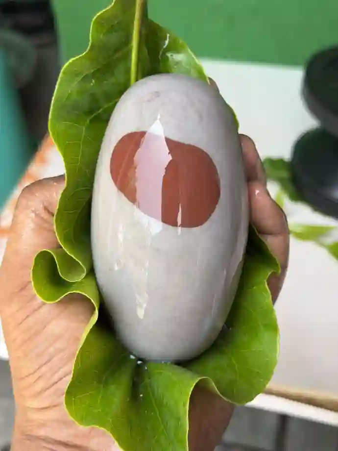 Mahakal Narmadeshwar Shivling
