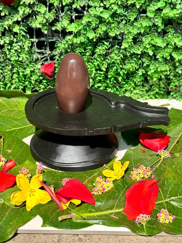 Narmadeshwar Shivling - Natural Banalinga for Home Puja | Shivling size 6 Long And Jaladhari (base) 12 Inch