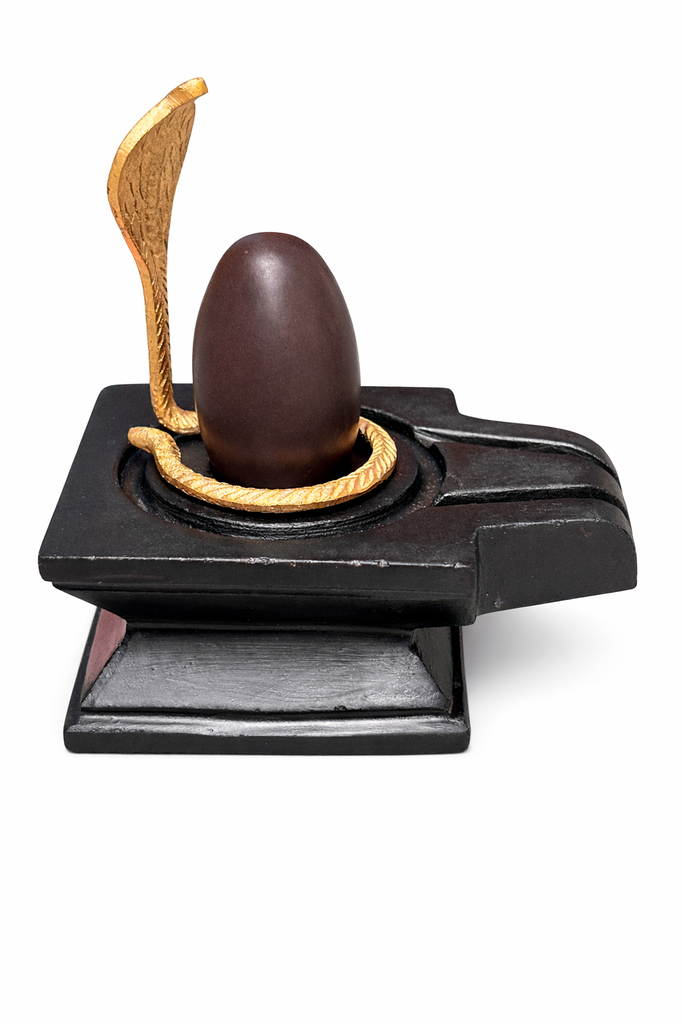 Small Narmada Lingam With South Pattern Chakor Jaladhari