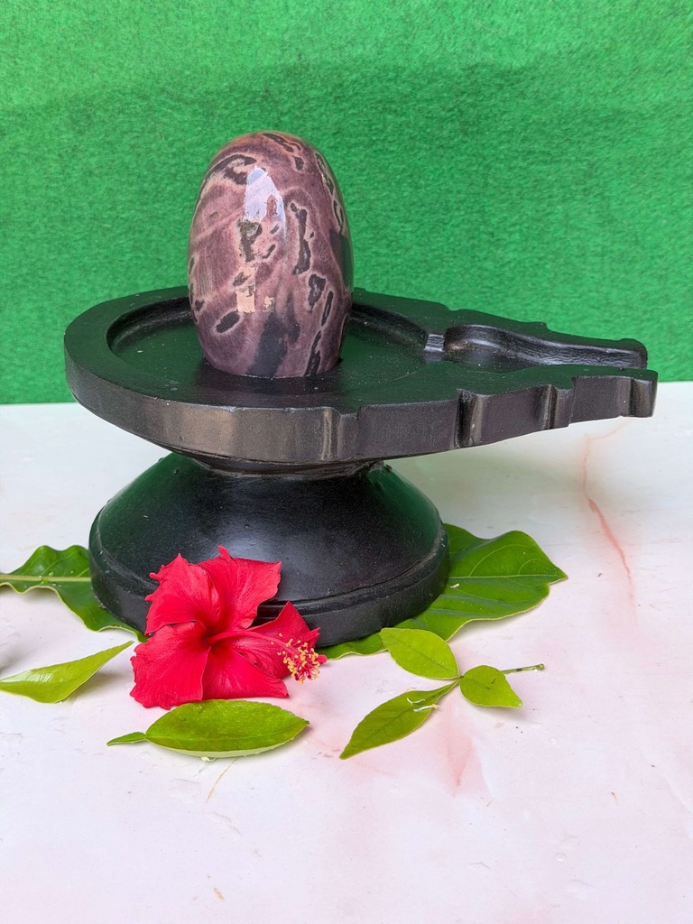 Buy 4 Inch Kalagni Narmadeshwar Shivling with 8 Inch Natural Stone Jaladhari | Authentic Narmada Banalinga for Home Temple & Meditation