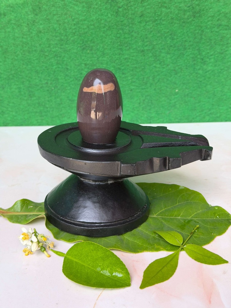 Buy 3 Inch Tilakdhari Narmadeshwar Shivling with 6 Inch Natural Stone Jaladhari | Authentic Narmada Shiva Lingam for Spiritual Worship & Home Temple