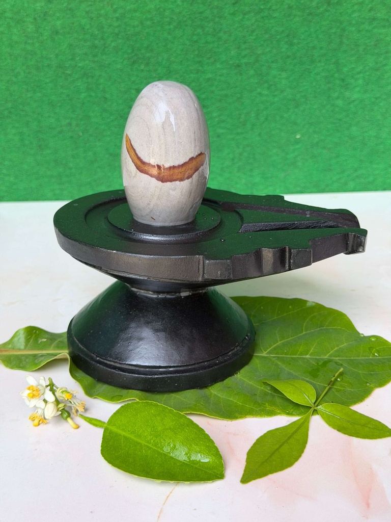 Honor Lord Shiva with 3 Inch Chandrama Dhari Narmadeshwar Shivling | 6 Inch Natural Stone Jaladhari | Authentic Narmada Banalinga