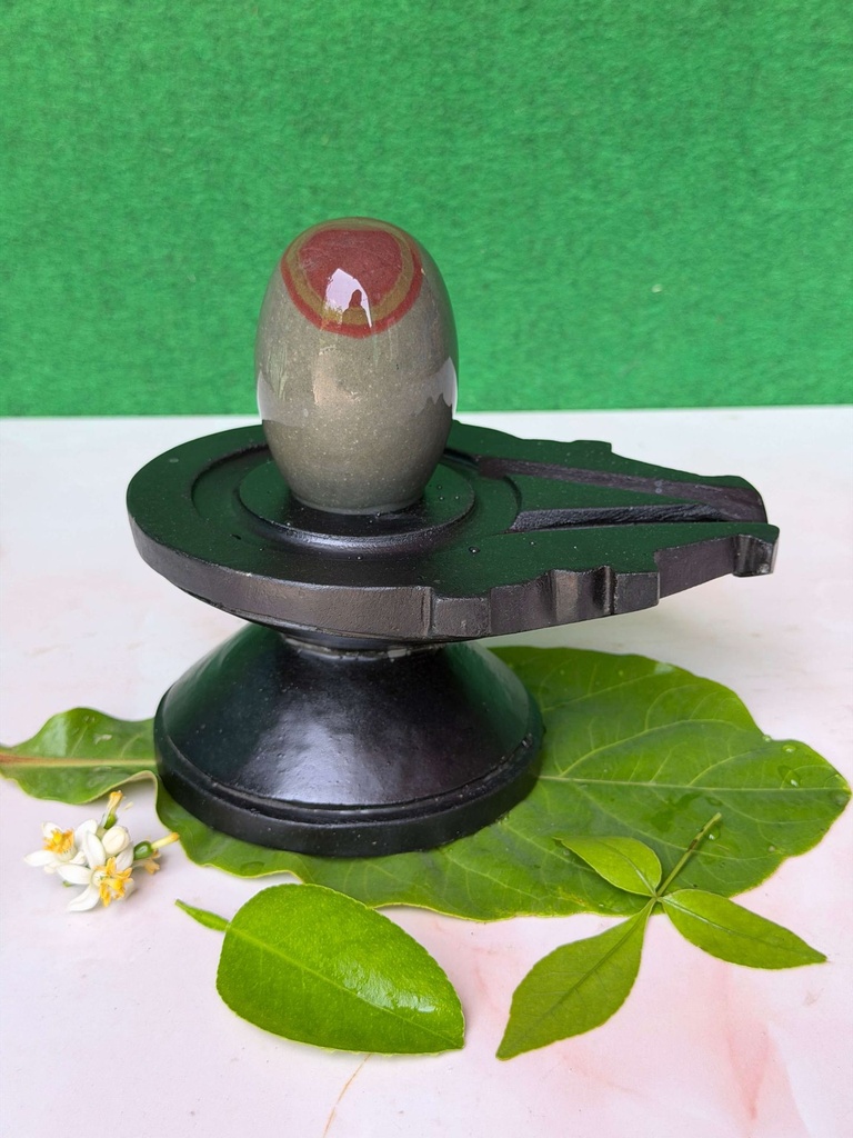 Experience the Divine Presence of 3 Inch Neelkanth Chandramouleshwar Narmadeshwar Shivling with 6 Inch Natural Stone Jaladhari | Original Narmada Banalinga