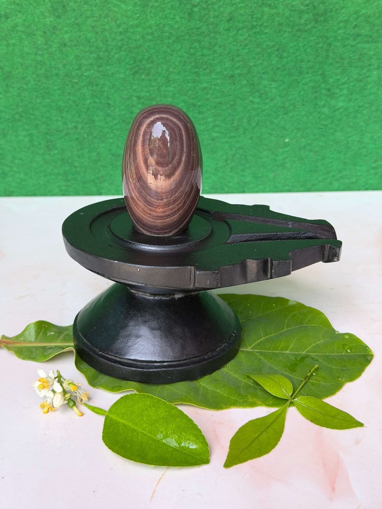 Invoke the Power of Lord Mahakal with 3 Inch Janeudhari Narmadeshwar Shivling in 6 Inch Natural Stone Jaladhari | Original Narmada Banalinga