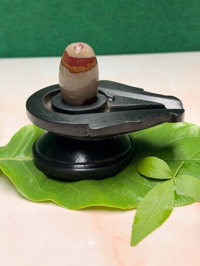 Discover the Spiritual Beauty of 2 Inch Tilakdhari Narmadeshwar Shivling with 4 Inch Natural Stone Jaladhari | Original Narmada Banalinga for Home Temple & Daily Worship