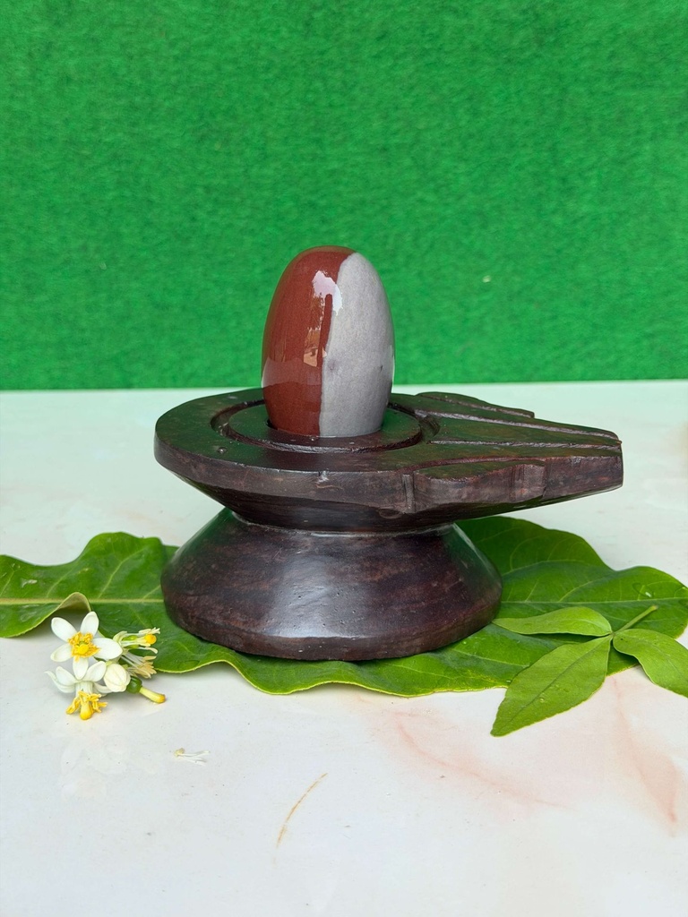 Celebrate the Divine Union with 2.5 Inch Ardhanareshwar Narmadeshwar Shivling in 5 Inch Natural Stone Jaladhari | Original Narmada Banalinga
