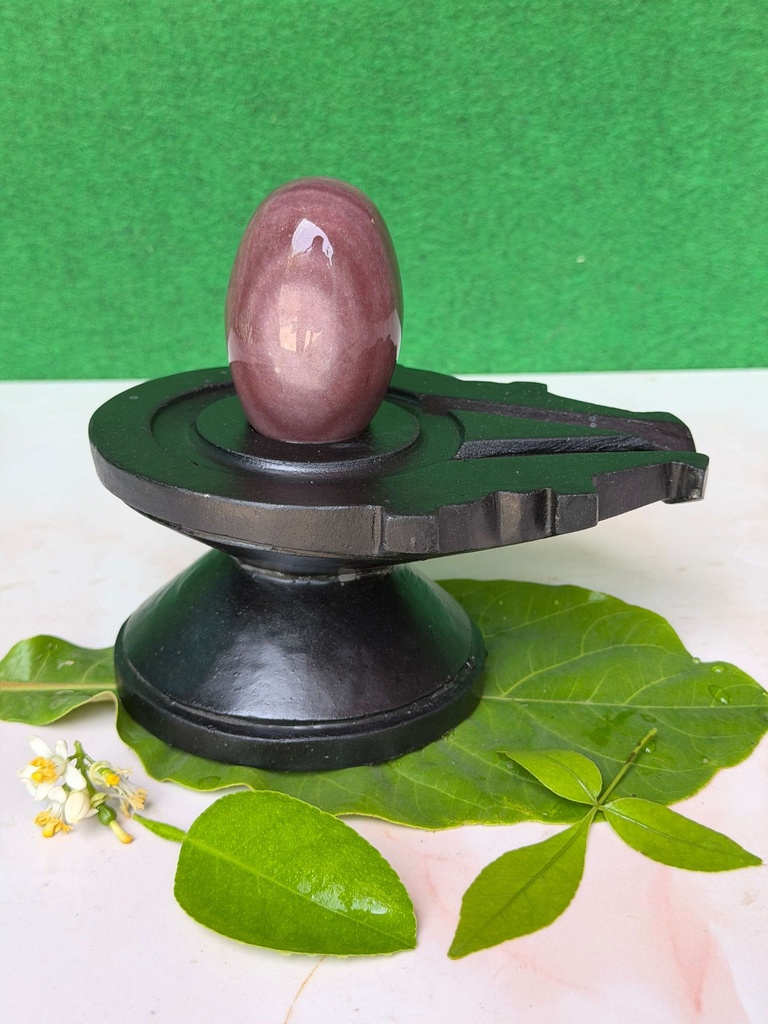 Embrace the Divine Power of 3 Inch Milk Mahakal Narmadeshwar Shivling with 6 Inch Natural Stone Jaladhari | Original Narmada Banalinga