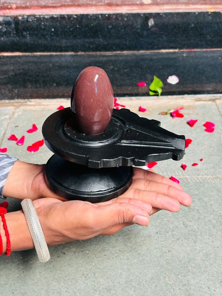 Naturally Blessed 3 Inch Swayambhu Narmadeshwar Shivling with 6 Inch Natural Stone Jaladhari | Original Narmada Banalinga for Sacred Worship