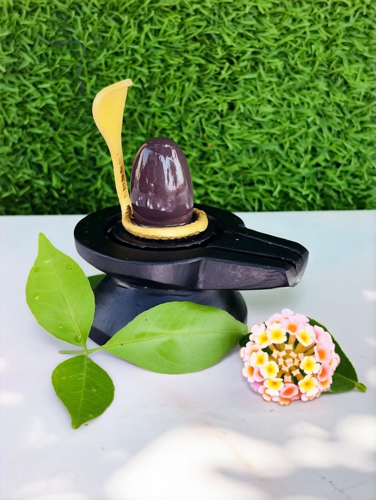 Swayambhu Narmadeshwar Shivling Smallest Size For Home