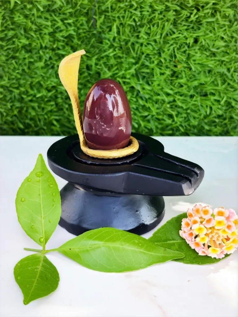 Best Small Size Swayambhu narmadeshwar  Shivling For home |This is the best Shivling for everything
