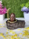 Very rare Ardhnareshwar Narmadeshwar shivling with Kalagni yonibase (jaladhari) and nag || 7. How to identify original Narmadeshwar Shivling?