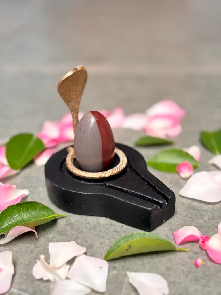 Best Small Ardhnareshwar Narmadeshwar shivling for home with flat jaladhari  | This is the one of best Shivling for married life. and good partner relationship