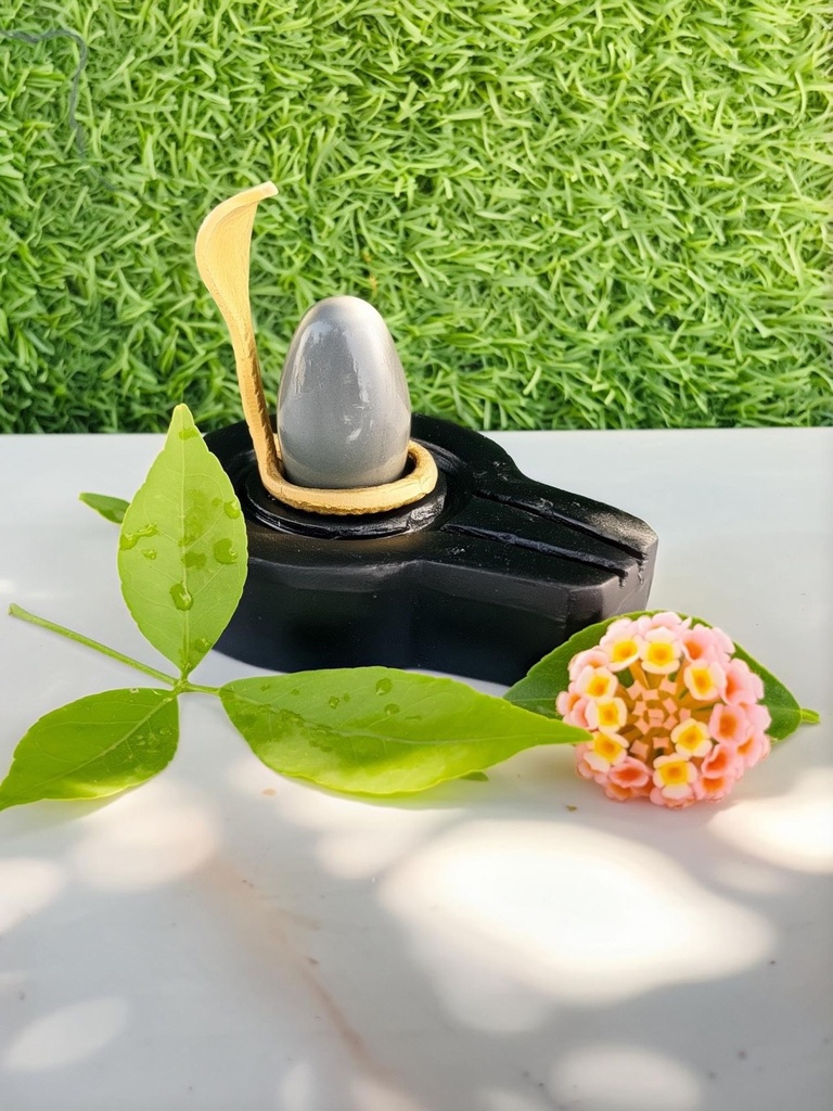 Neelkanth Narmadeshwar Shivling For Home with flat jaladhari | Top and best Shivling for health and healing. | size 1.5 inch shivling
