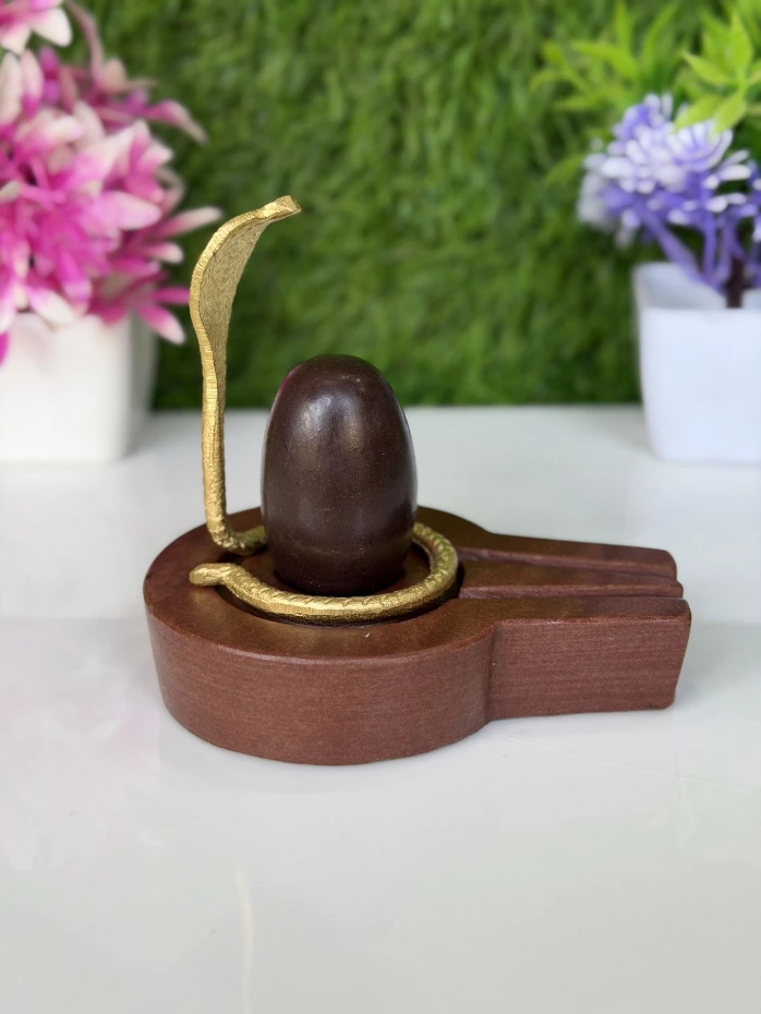 Swayambhu Original Narmadeshwar Shivling for Home Mandir Worship, 2 Inch Shivling with 4 Inch Narmadeshwar Jaladhari and Nag | What Is Narmadeshwar Shivling?